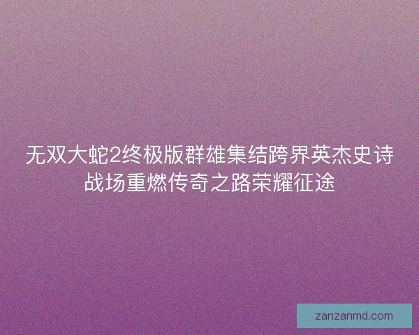 无双大蛇2终极版群雄集结跨界英杰史诗战场重燃传奇之路荣耀征途