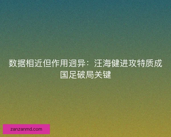数据相近但作用迥异：汪海健进攻特质成国足破局关键