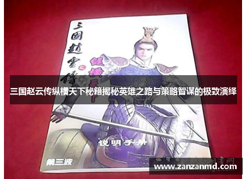 三国赵云传纵横天下秘籍揭秘英雄之路与策略智谋的极致演绎